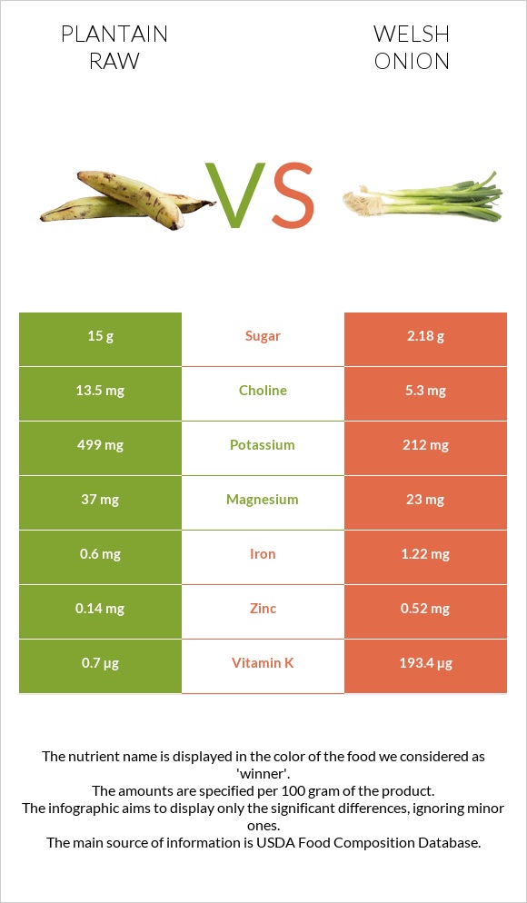Plantain raw vs Welsh onion infographic