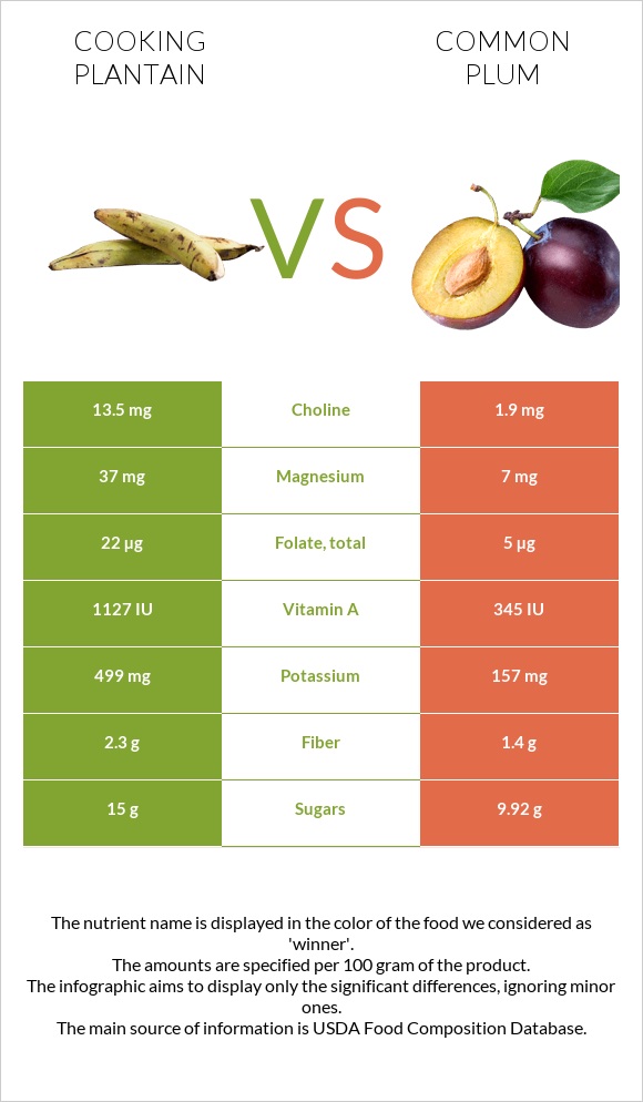 Cooking plantain vs Common plum infographic
