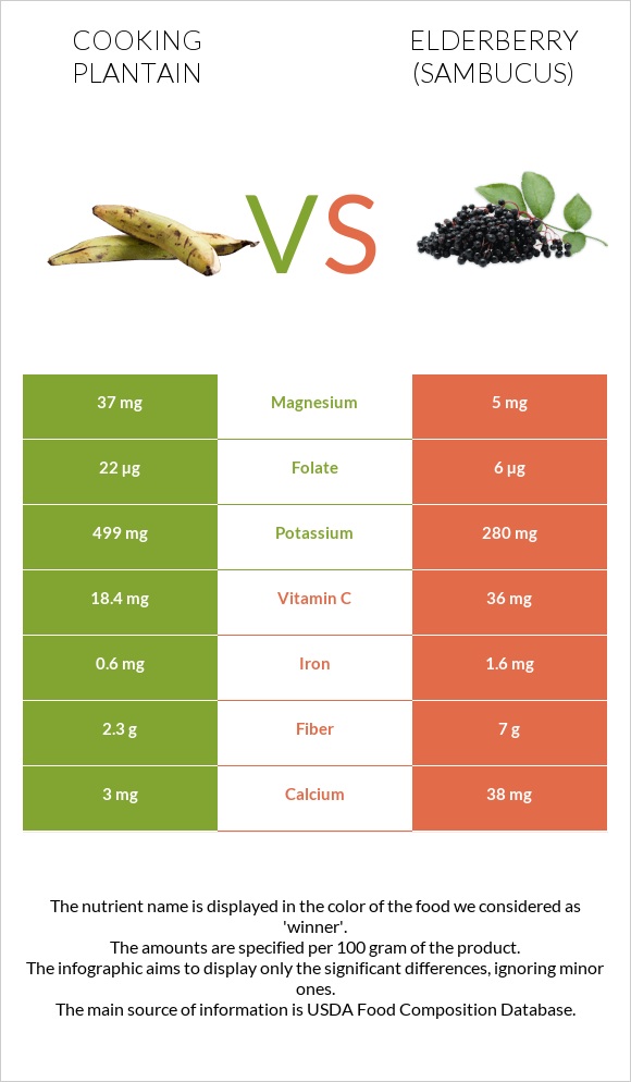 Plantain vs Elderberry infographic