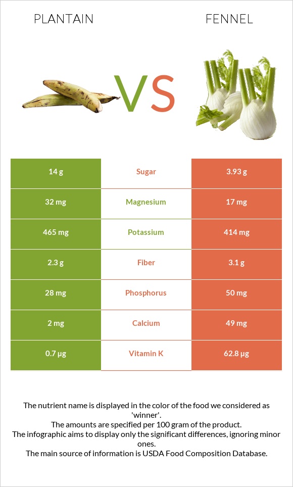 Plantain vs Fennel infographic