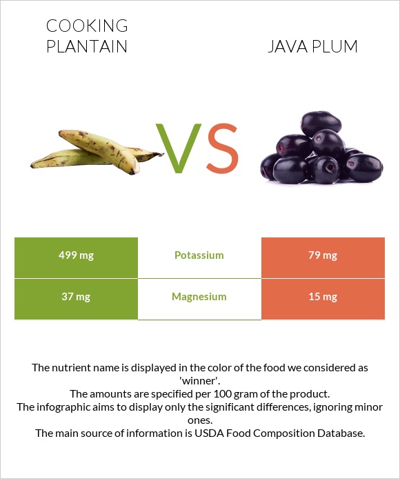 Plantain vs Java plum infographic