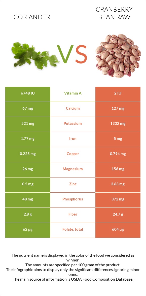 Coriander vs Cranberry bean raw infographic