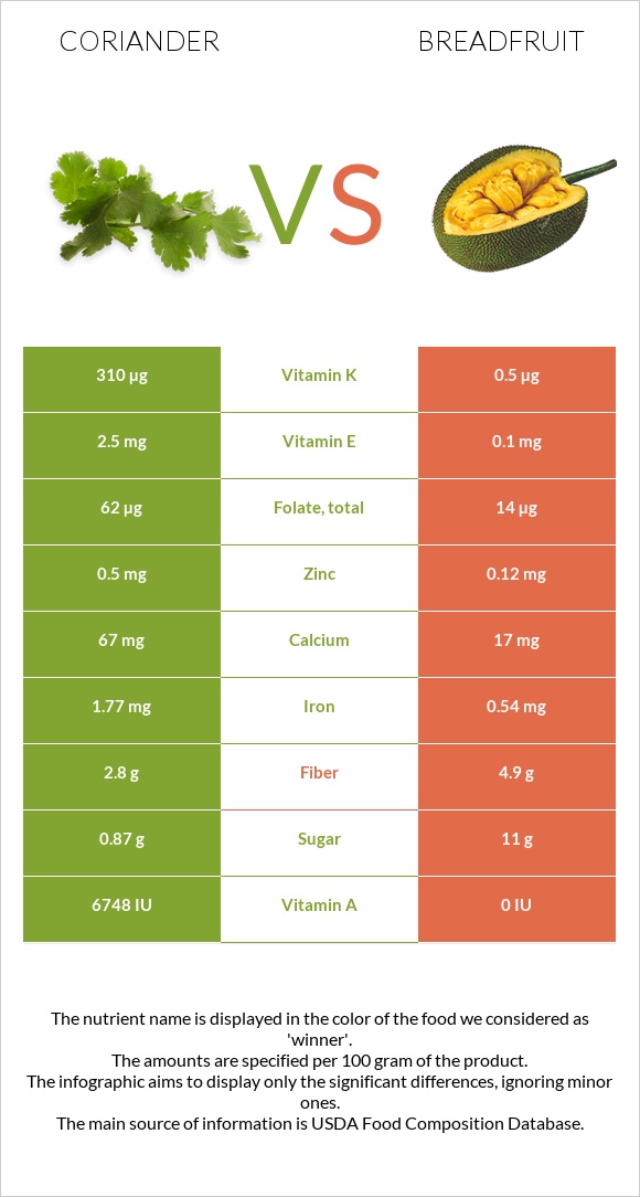 Coriander vs Breadfruit infographic