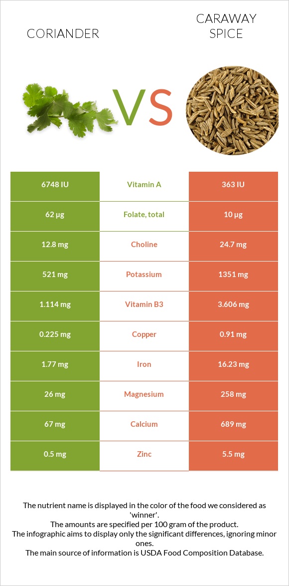 Coriander vs Caraway spice infographic