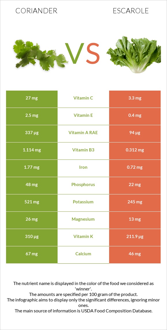 Coriander vs Escarole infographic