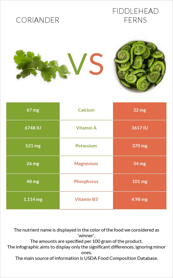 Coriander vs Fiddlehead ferns infographic