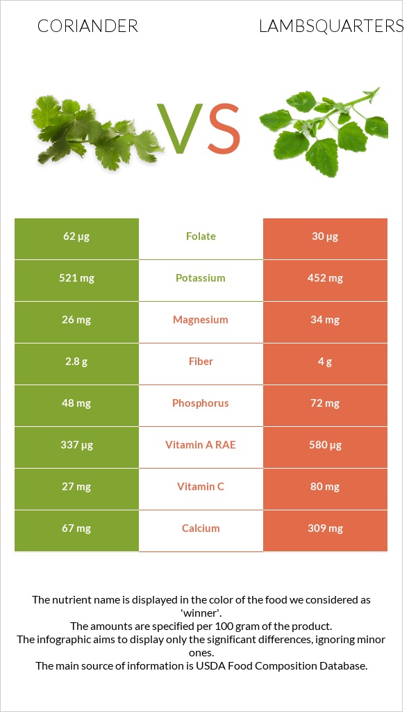 Coriander vs Lambsquarters infographic