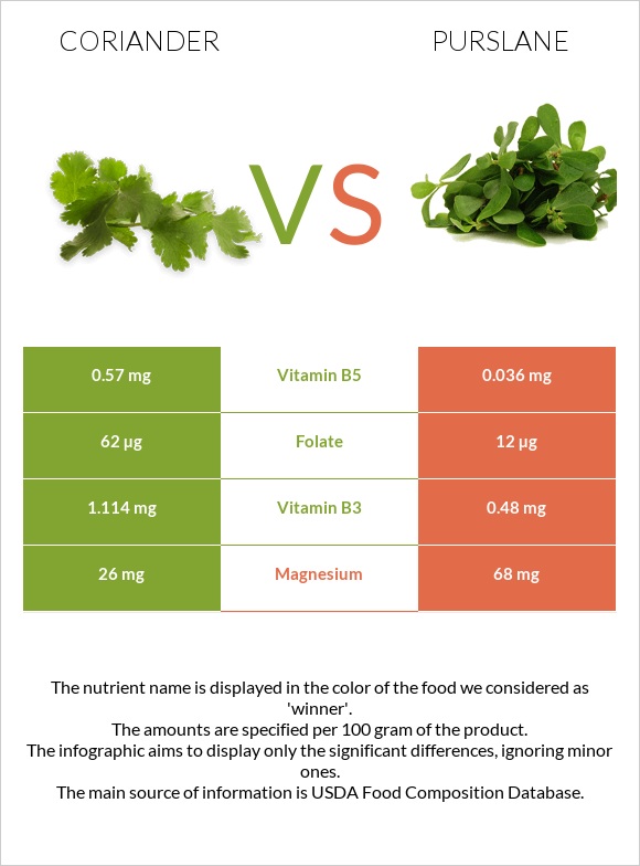 Համեմ vs Purslane infographic