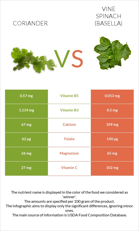 Coriander vs Vine spinach (basella) infographic