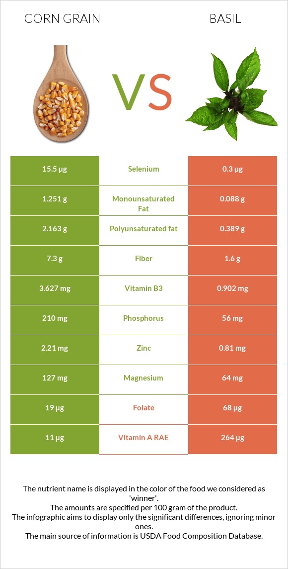 Corn grain vs Basil infographic