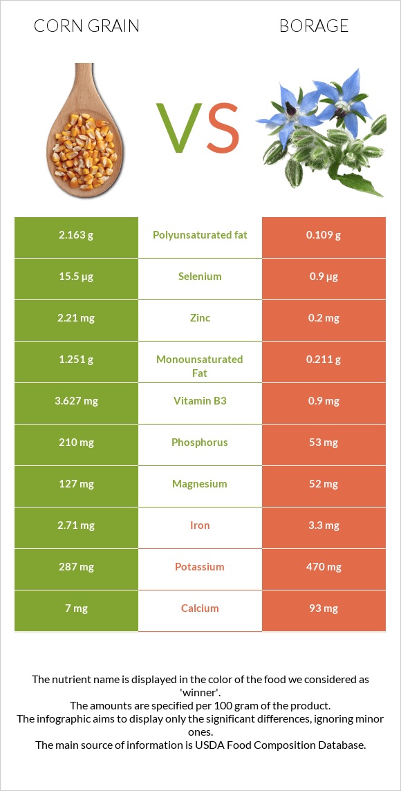 Corn grain vs Borage infographic