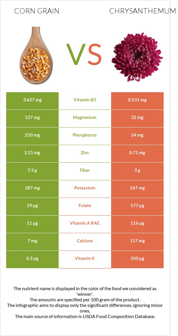 Corn grain vs Քրիզանթեմ infographic