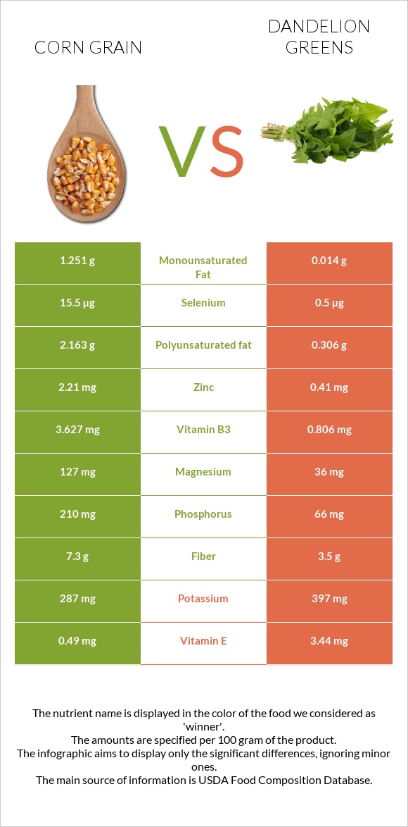 Corn grain vs Dandelion greens infographic