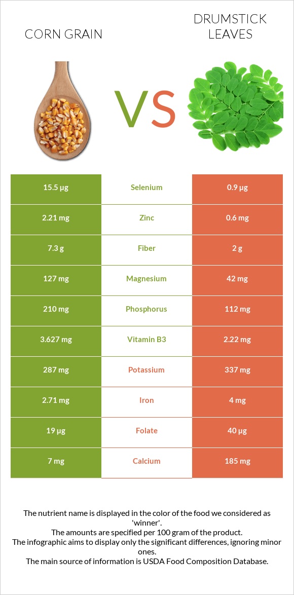 Corn grain vs Drumstick leaves infographic