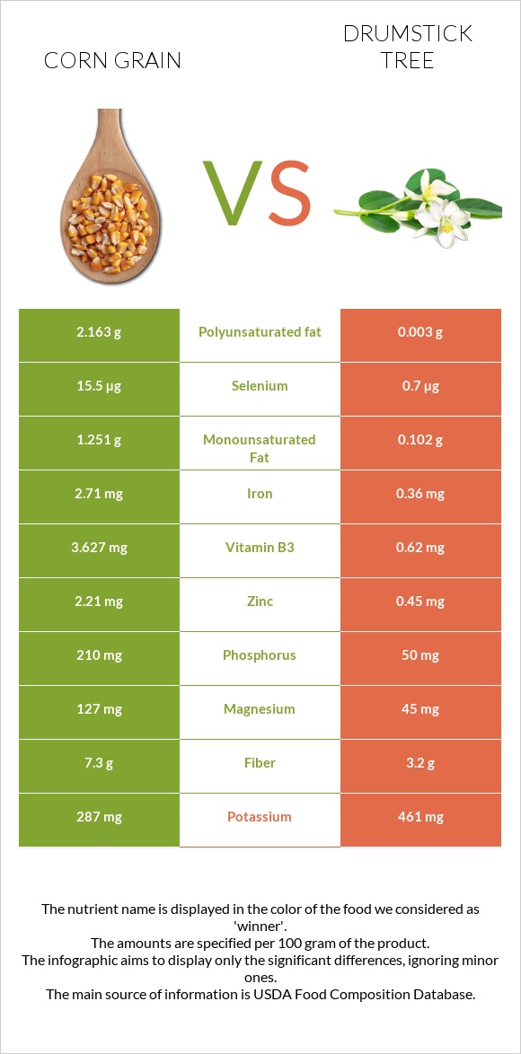 Corn grain vs Drumstick tree infographic