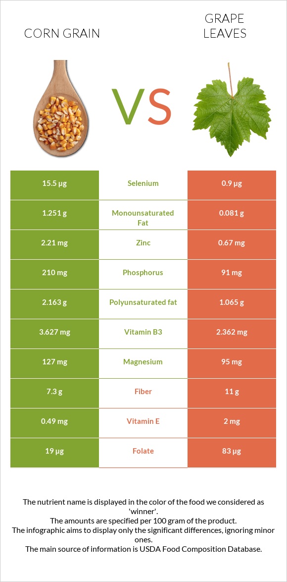 Corn grain vs Խաղողի թուփ infographic