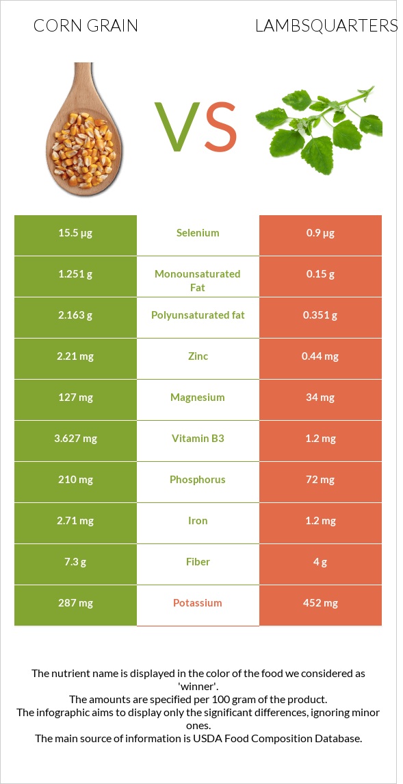 Corn grain vs Lambsquarters infographic