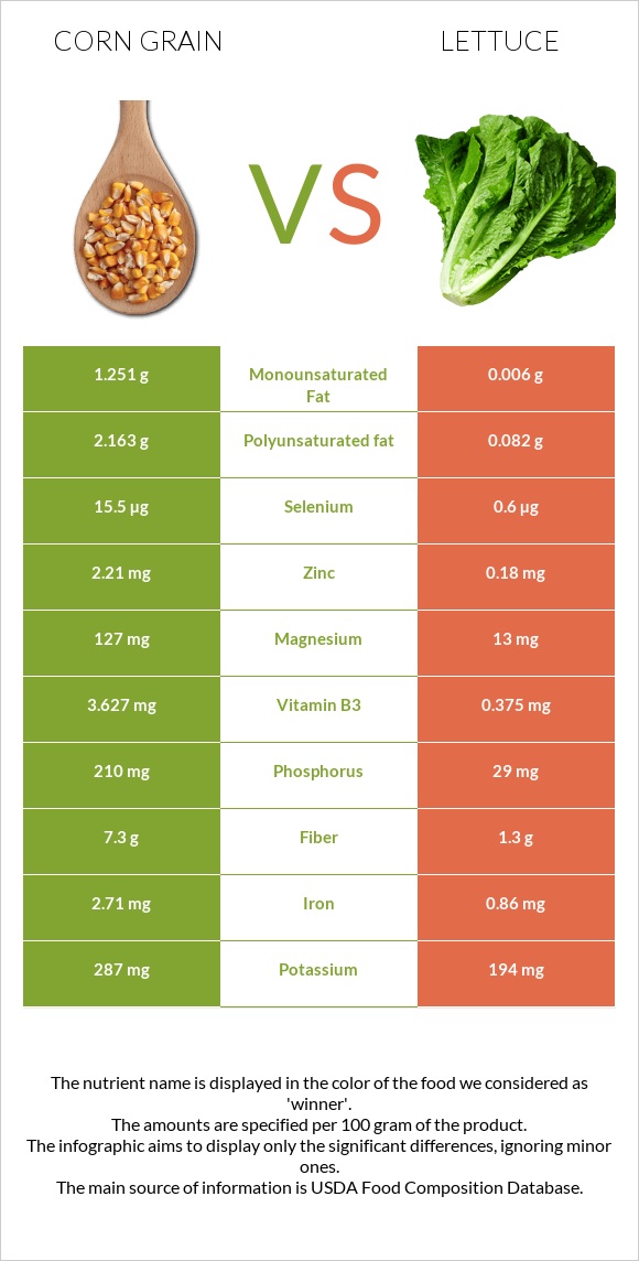 Corn grain vs Lettuce infographic