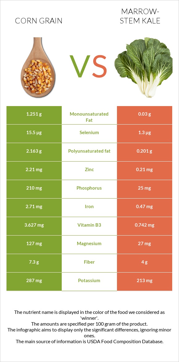 Corn grain vs Marrow-stem Kale infographic