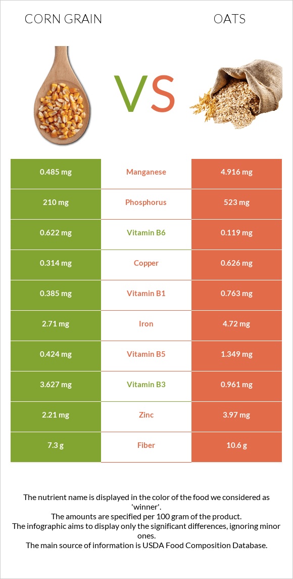 Corn grain vs Oats infographic