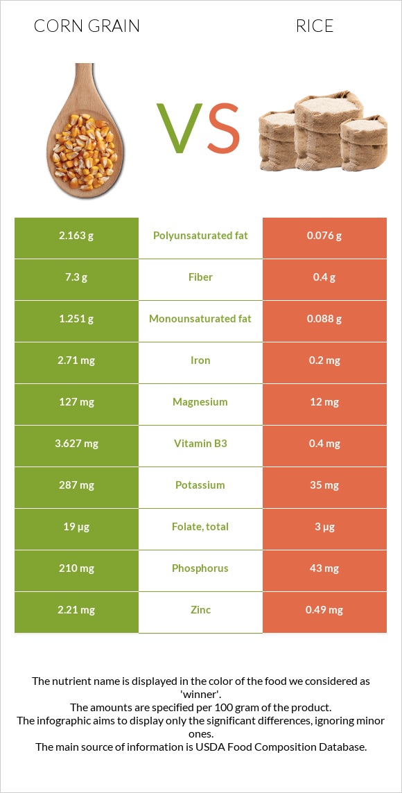 Corn grain vs Rice infographic