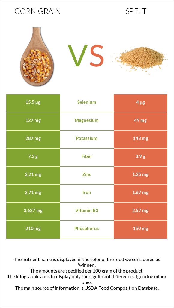 Corn grain vs Spelt infographic