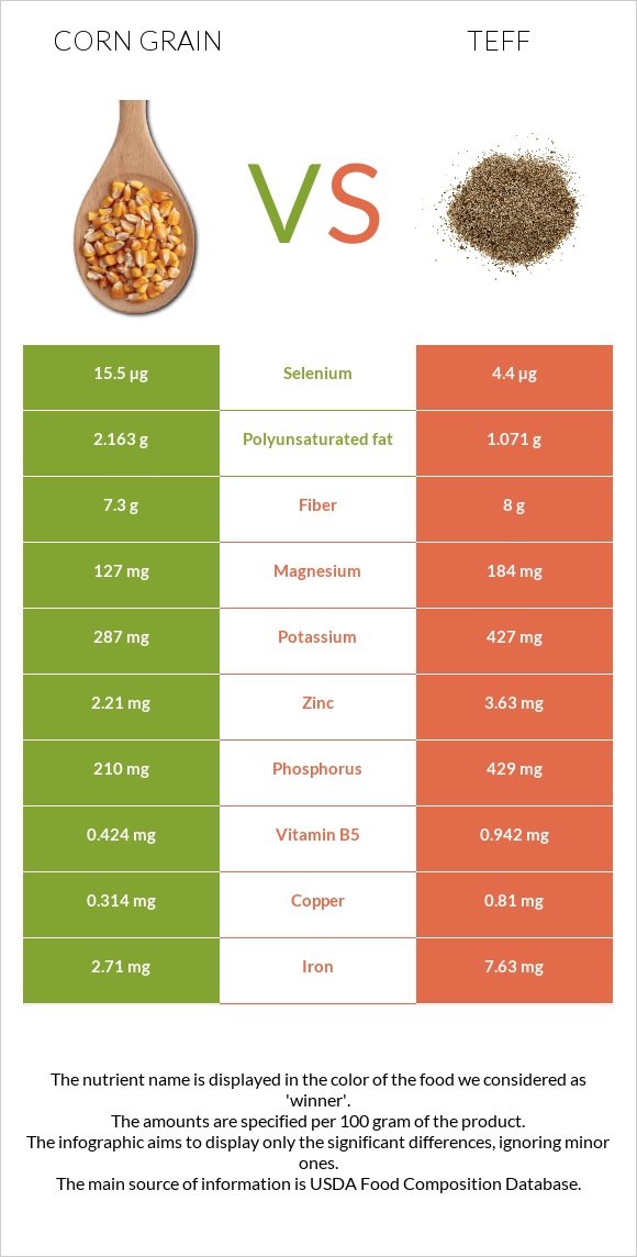 Corn grain vs Teff infographic