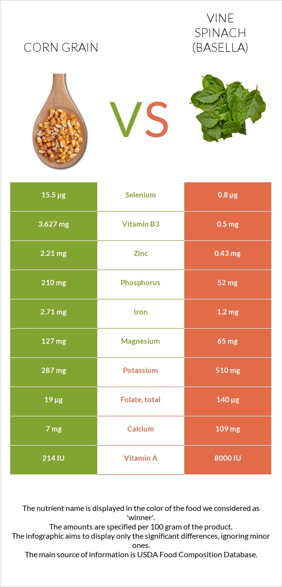 Corn grain vs Vine spinach (basella) infographic