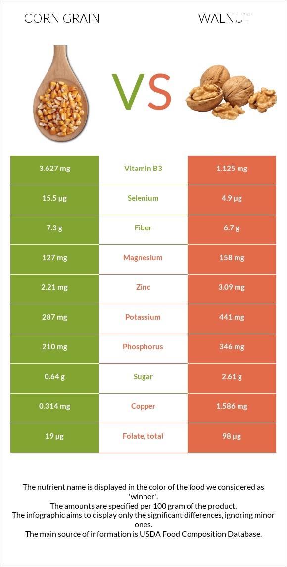 Corn grain vs Walnut infographic