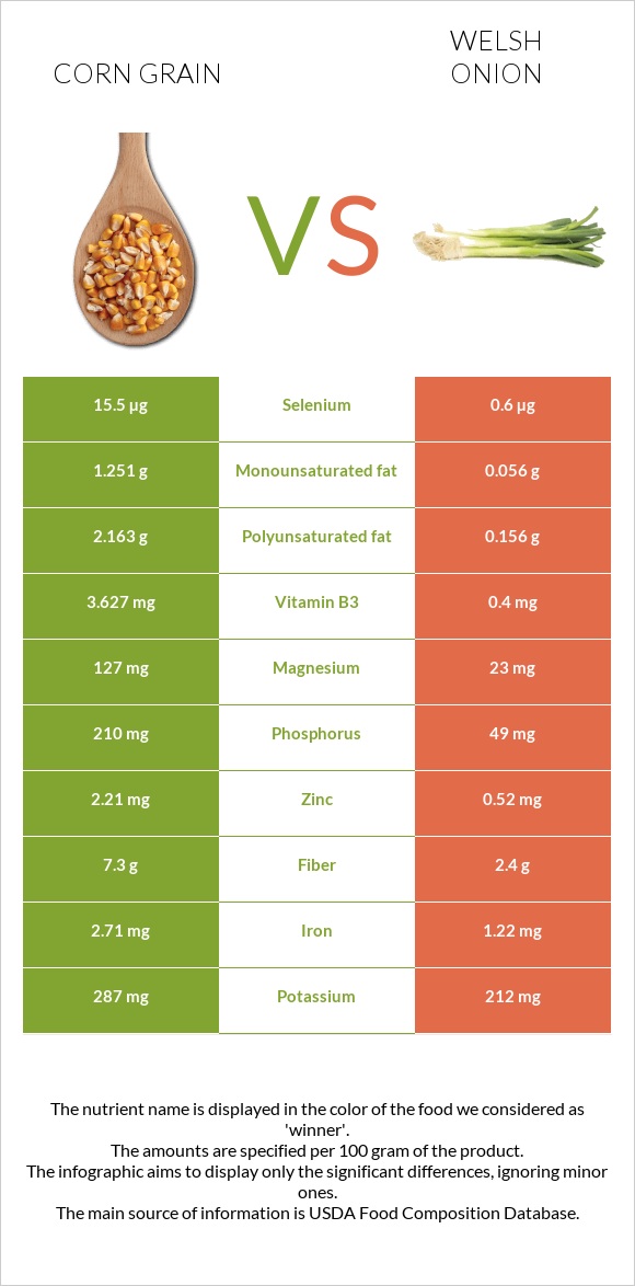 Corn grain vs Սոխ բատուն infographic