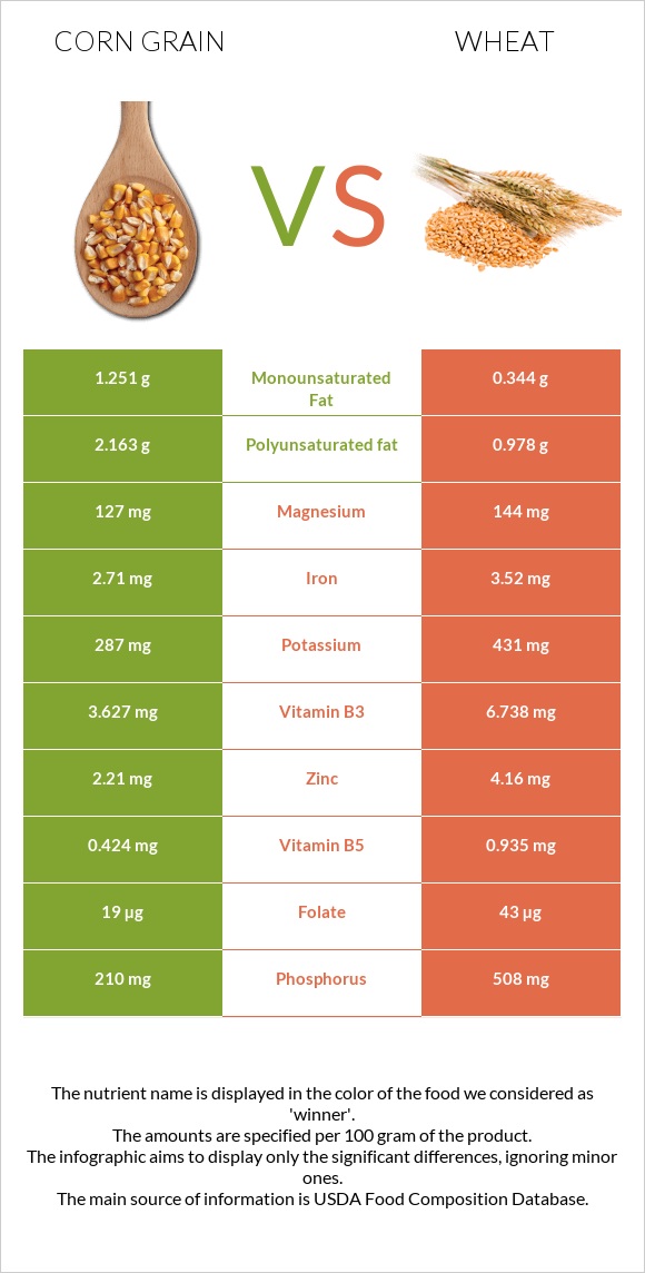 Corn grain vs Ցորեն infographic
