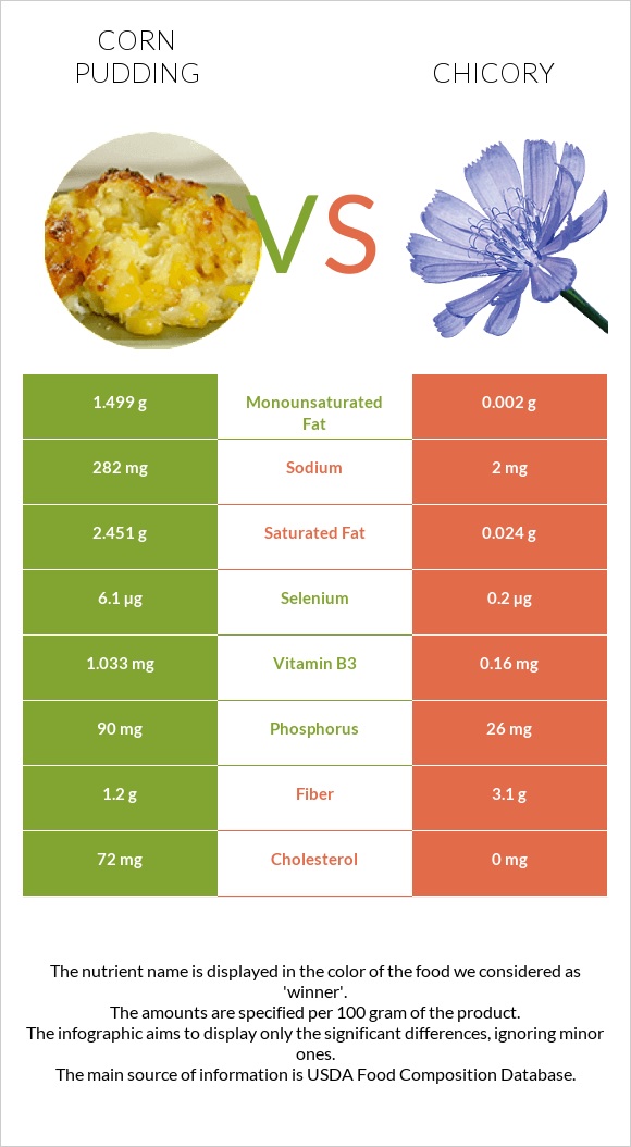 Corn pudding vs Chicory infographic
