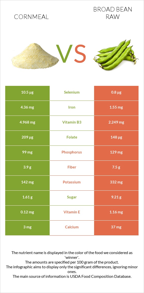 Cornmeal vs Broad bean raw infographic