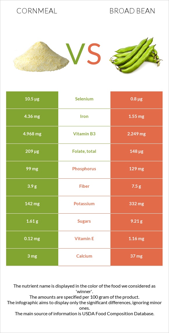 Cornmeal vs Broad bean infographic