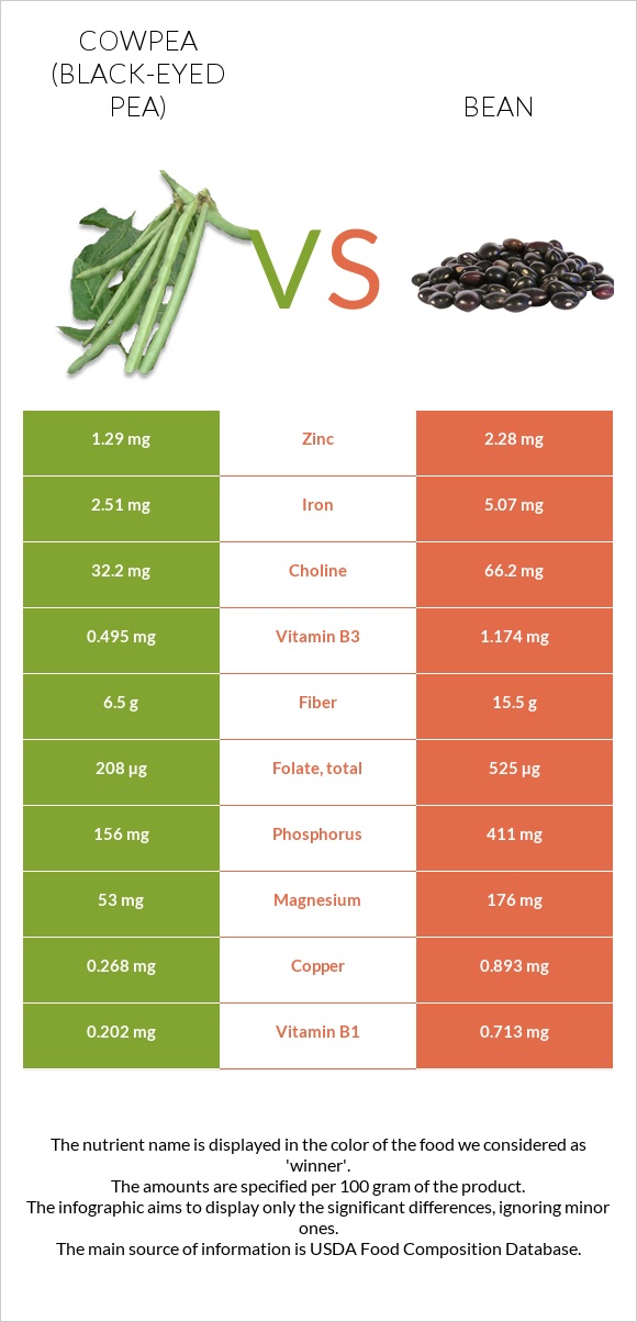Cowpea (Black-eyed pea) vs Bean infographic