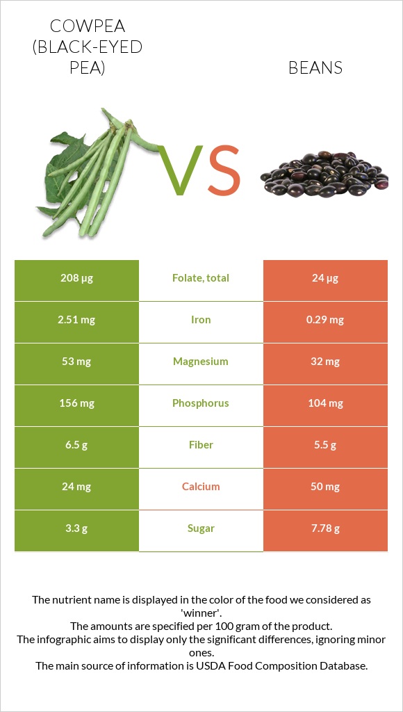 Cowpea (Black-eyed pea) vs Bean infographic