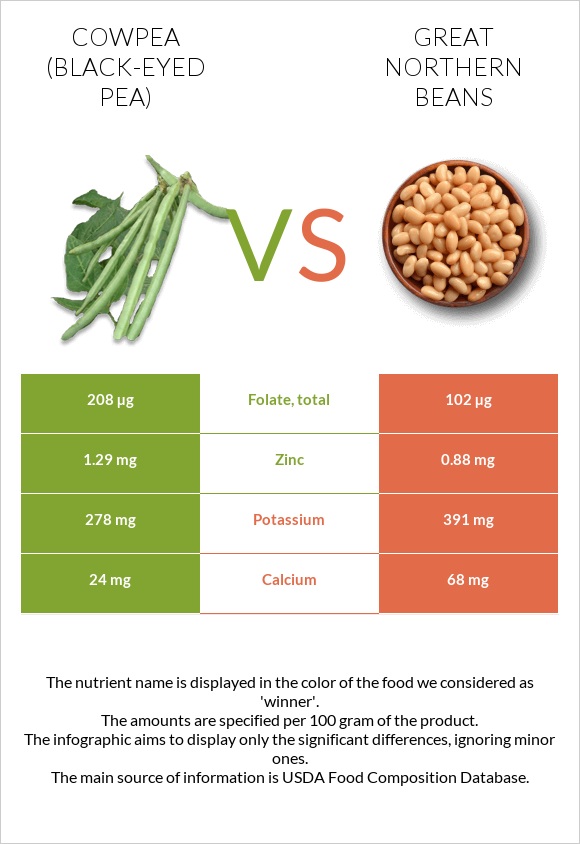 Սև աչքերով ոլոռ vs Great northern beans infographic