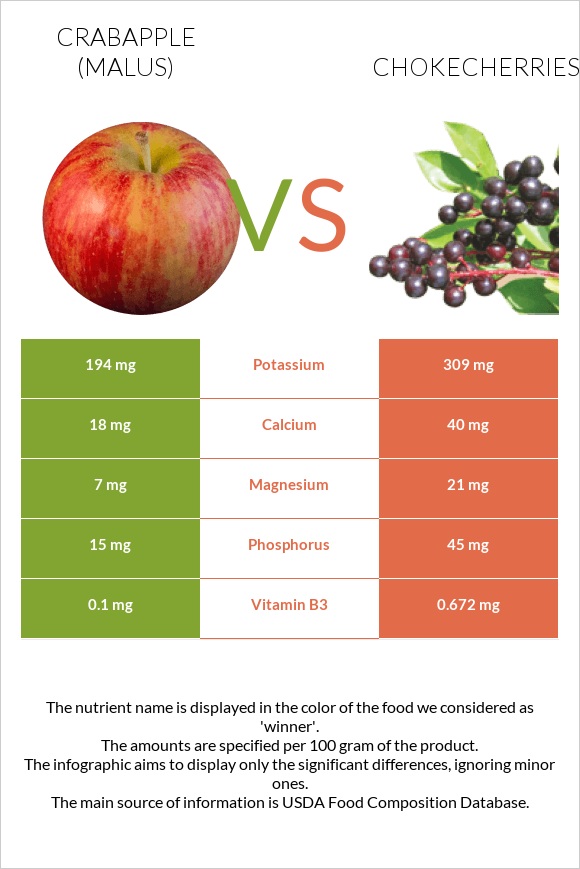 Crabapple (Malus) vs Chokecherries infographic