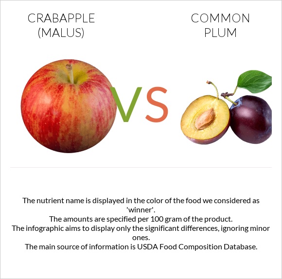 Crabapple (Malus) vs Plum infographic