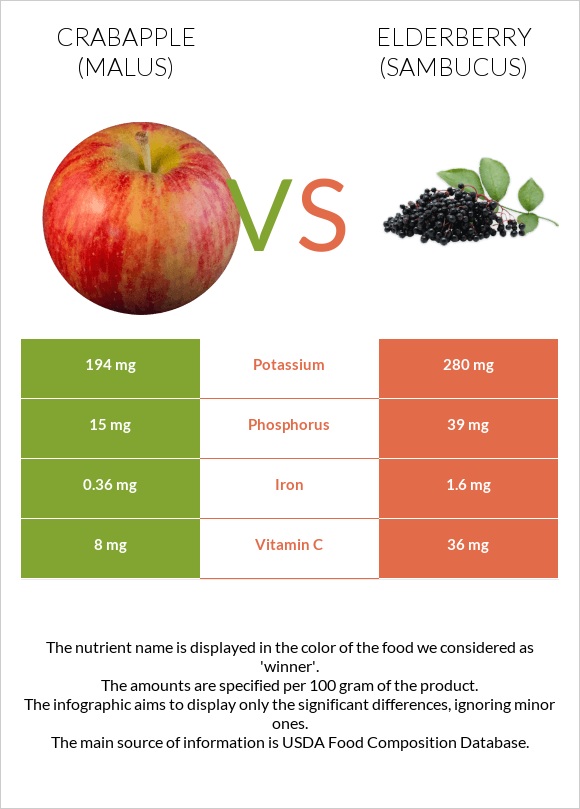 Crabapple (Malus) vs Elderberry infographic
