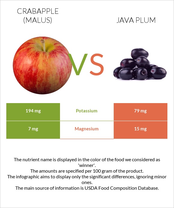 Crabapple (Malus) vs Java plum infographic