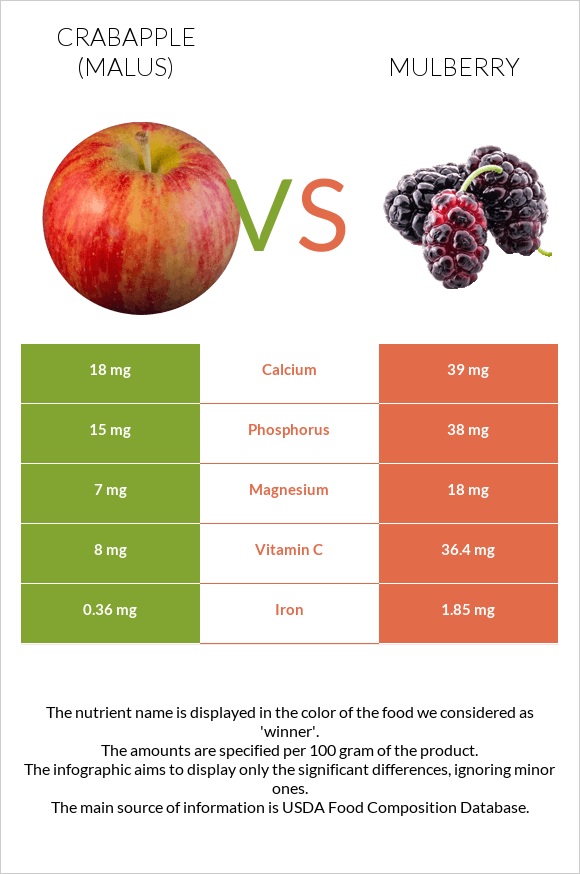 Crabapple (Malus) vs Mulberry infographic