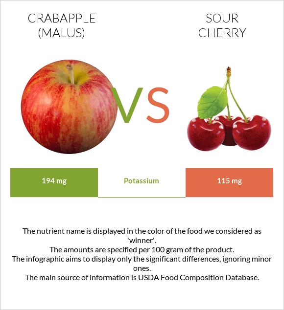 Crabapple (Malus) vs Sour cherry infographic