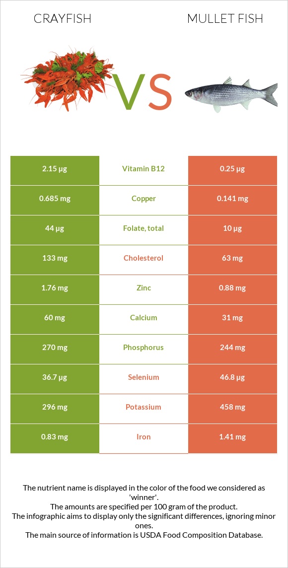 Crayfish vs Mullet fish infographic