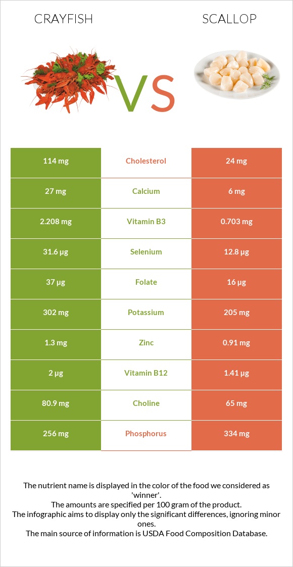 Crayfish vs Scallop infographic