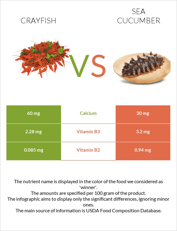 Crayfish vs Sea cucumber infographic