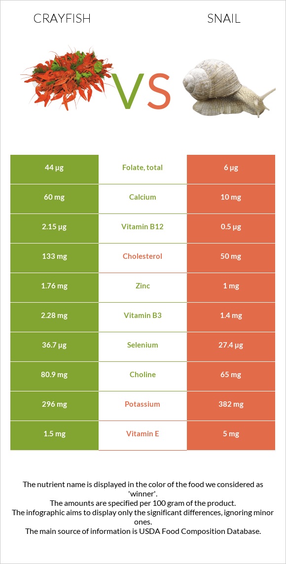 Crayfish vs Snail infographic