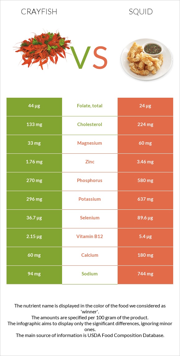 Crayfish vs Squid infographic