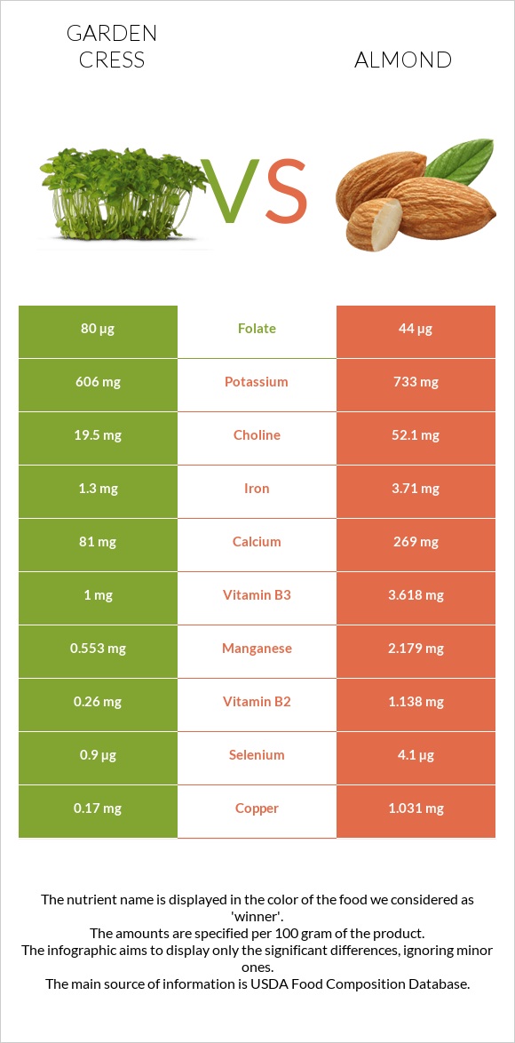 Garden cress vs Almond infographic