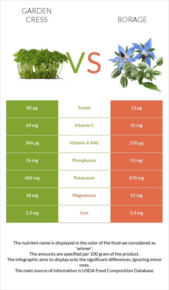 Garden cress vs Borage infographic